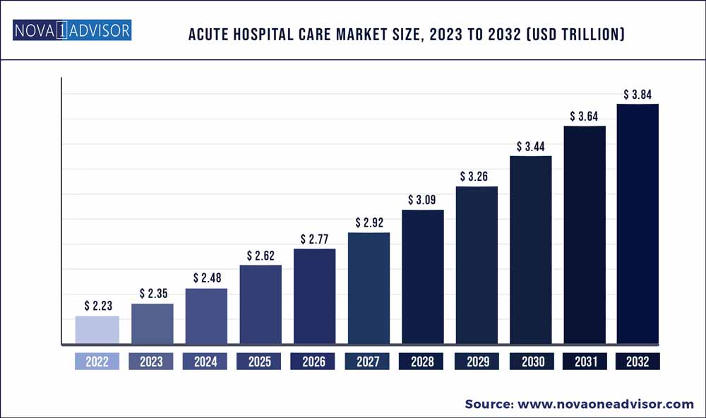 Acute Hospital Care market size