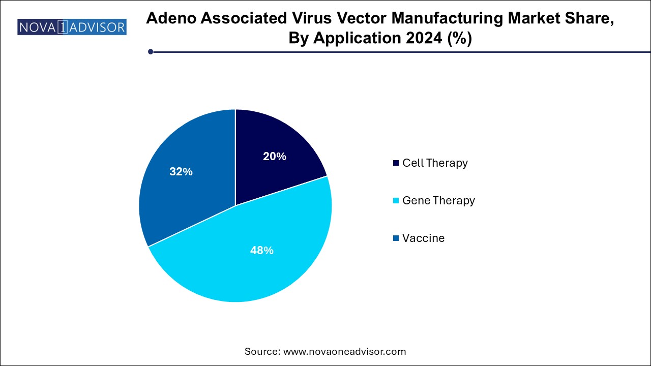 Adeno Associated Virus Vector Manufacturing Market Share, By Application 2024 (%)