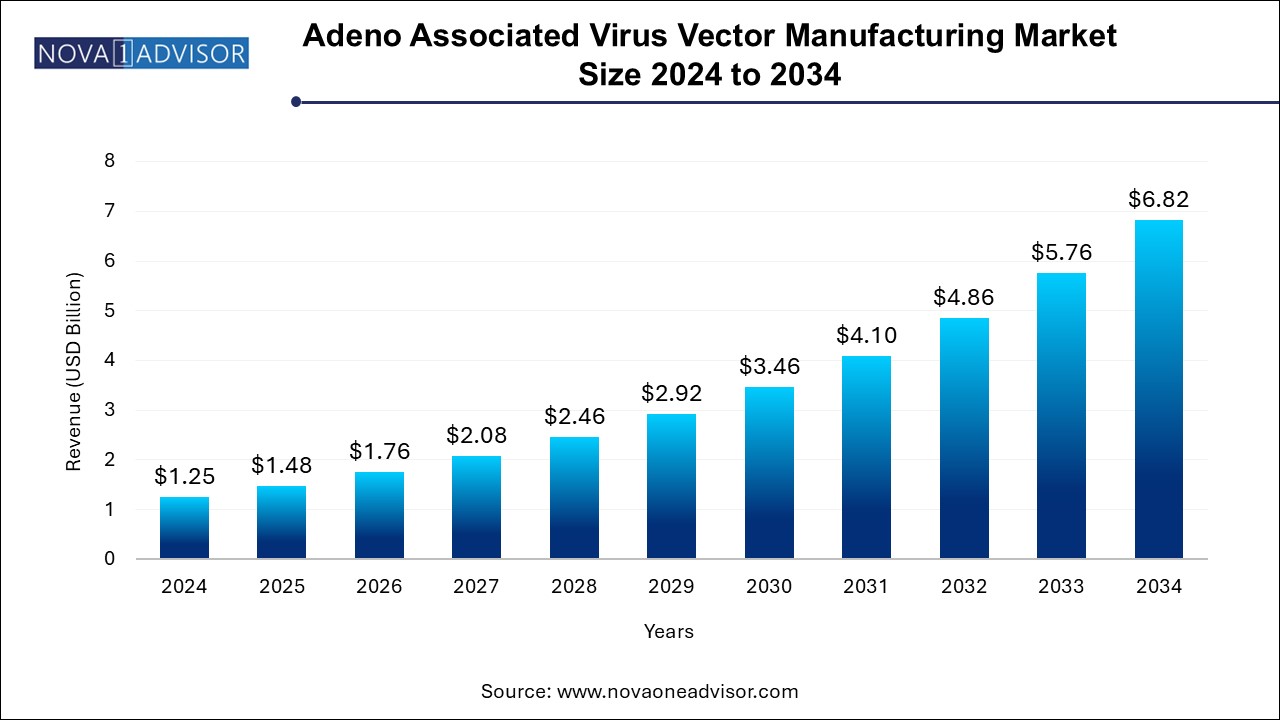 Adeno Associated Virus Vector Manufacturing Market Size 2024 To 2034