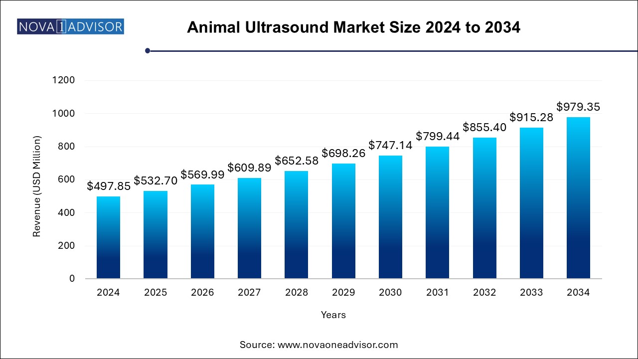 Animal Ultrasound Market Size 2025 To 2034