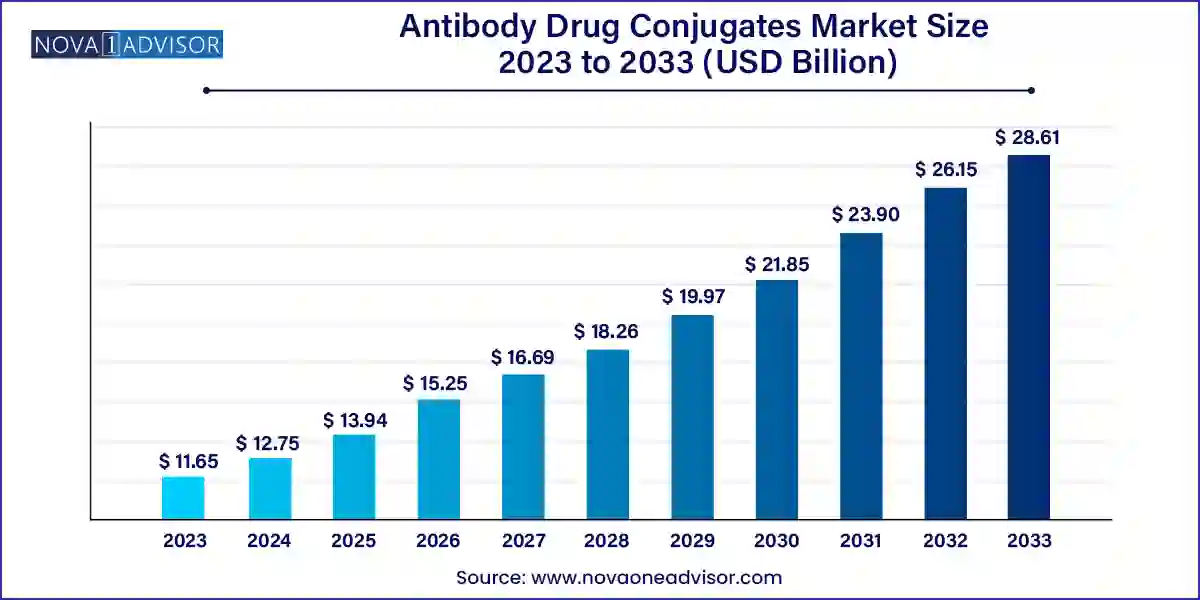 Antibody Drug Conjugates Market Size, 2024 to 2033