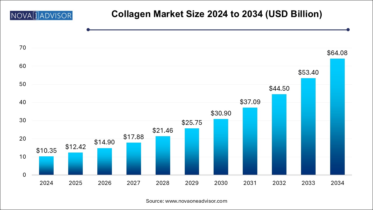 Collagen Market Size 2024 To 2034