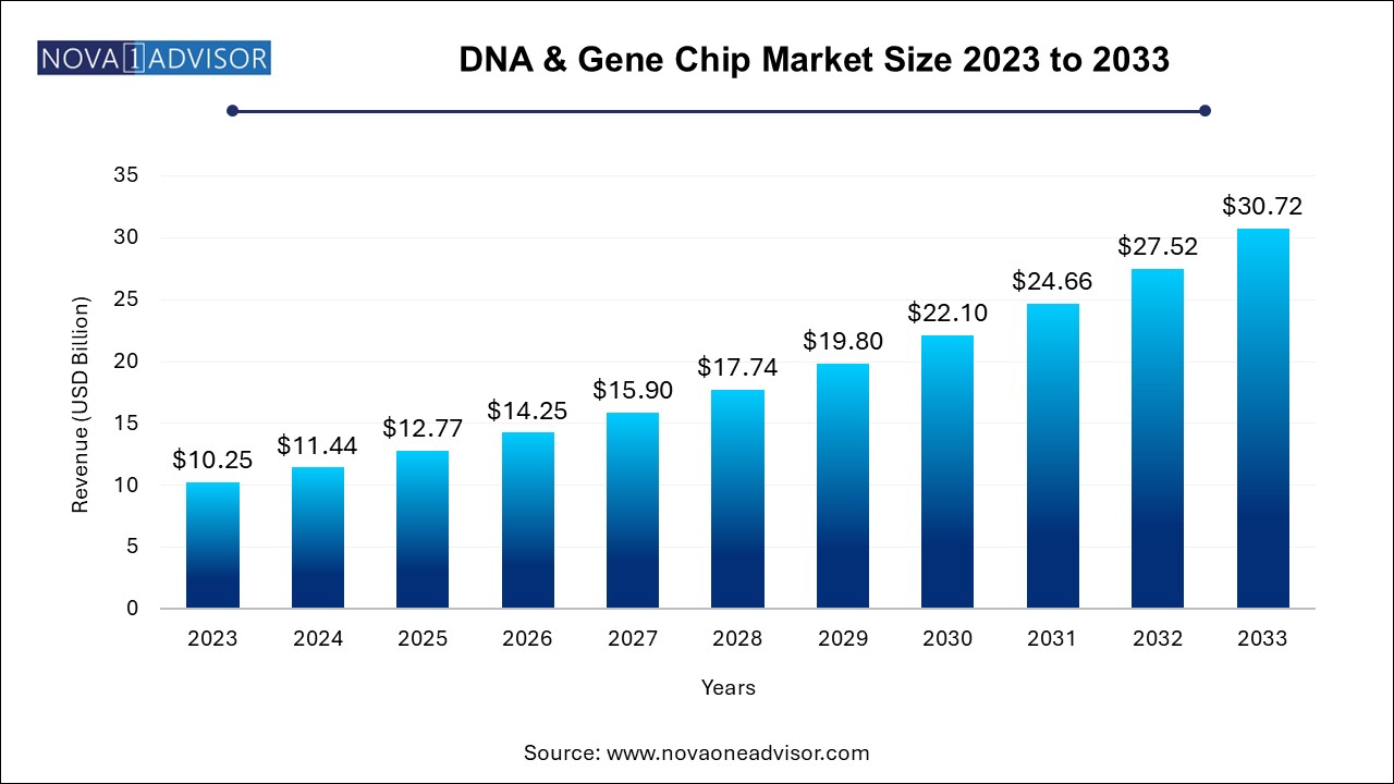 DNA & Gene Chip Market Size 2024 To 2033