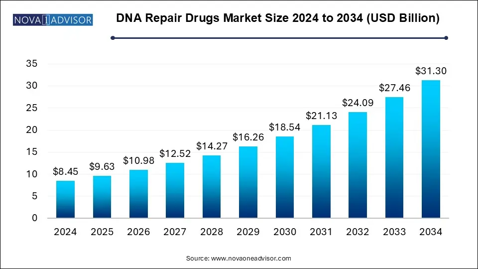 DNA Repair Drugs Market Size 2024 To 2034