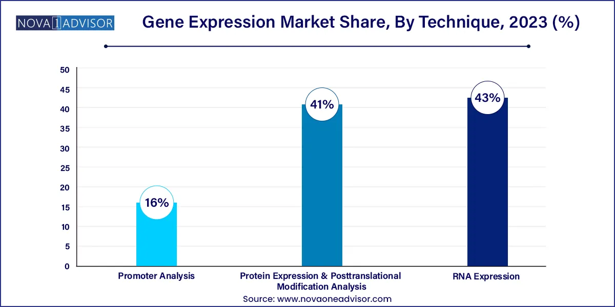 Gene Expression Market Share, By Technique, 2023