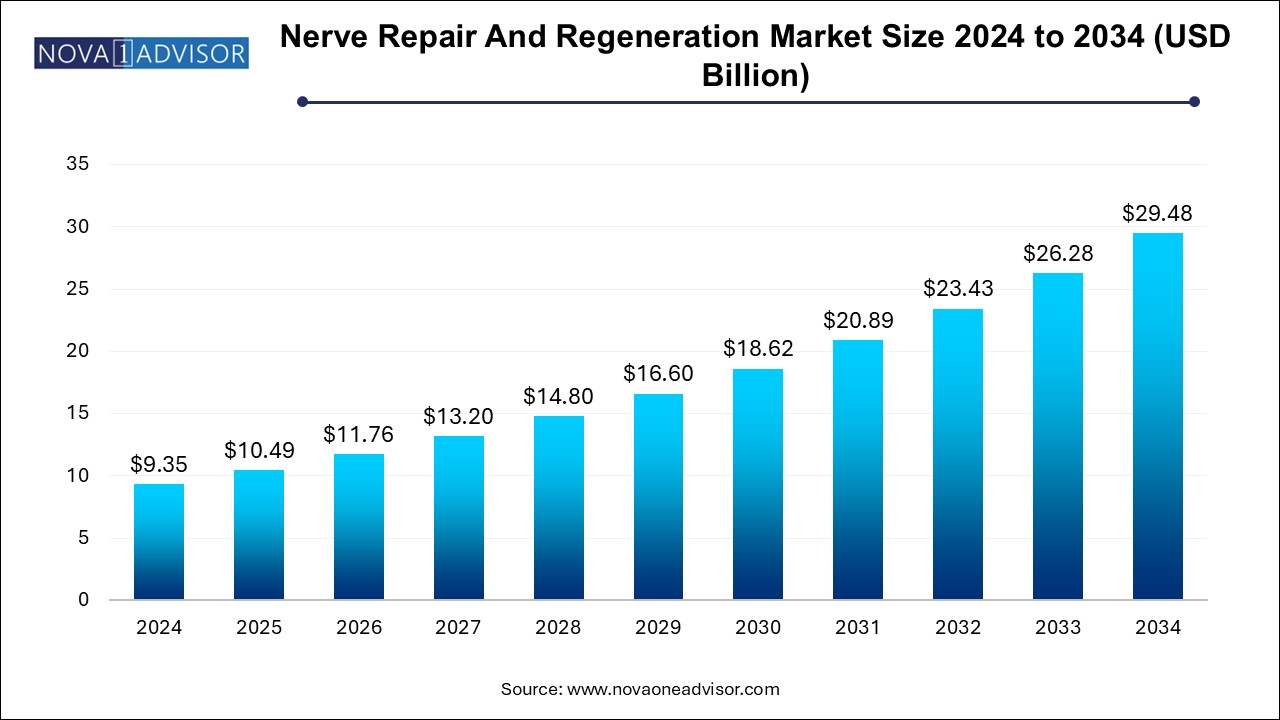 Nerve Repair and Regeneration Market Size 2024 To 2034