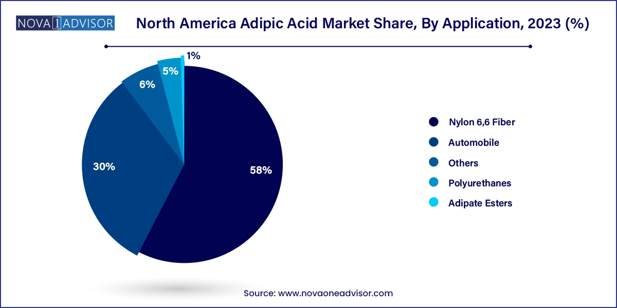 North America Adipic Acid Market Share, By Application, 2023 (%)