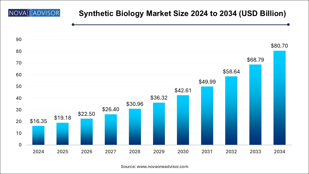 Synthetic Biology Market Size 2024 To 2034