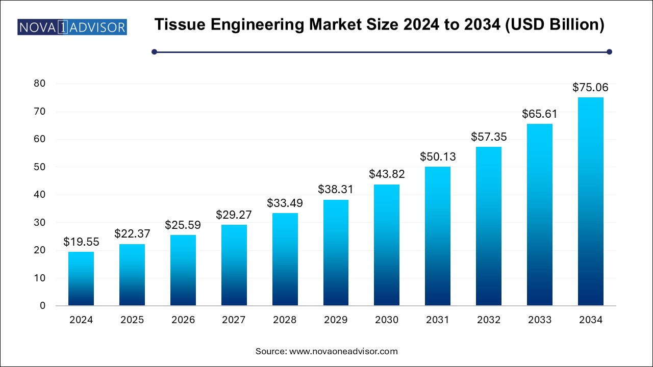 Tissue Engineering Market Size 2024 To 2034