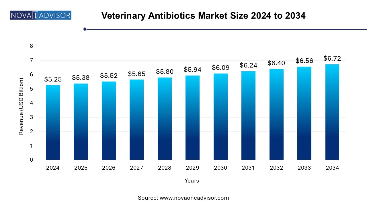 Veterinary Antibiotics Market Size 2024 To 2034