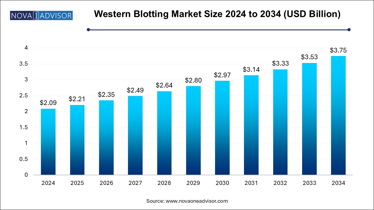 Western Blotting Market Size 2024 To 2034